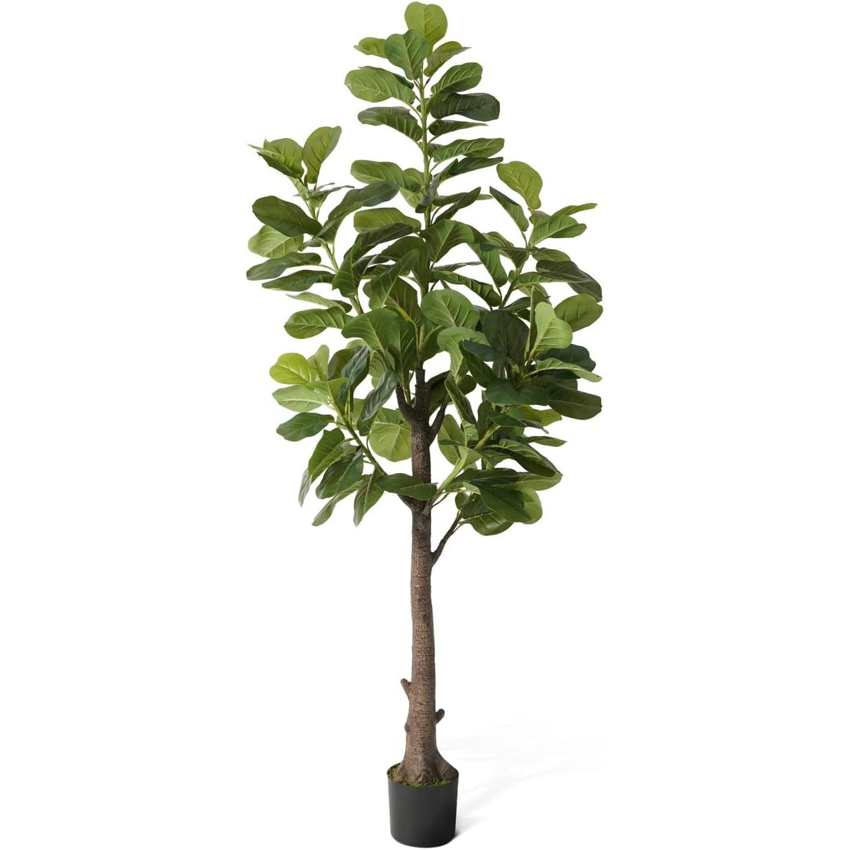 CAPHAUS Artificial Fiddle Leaf - Rubber Plant Ficus incelemesi ve fiyatı