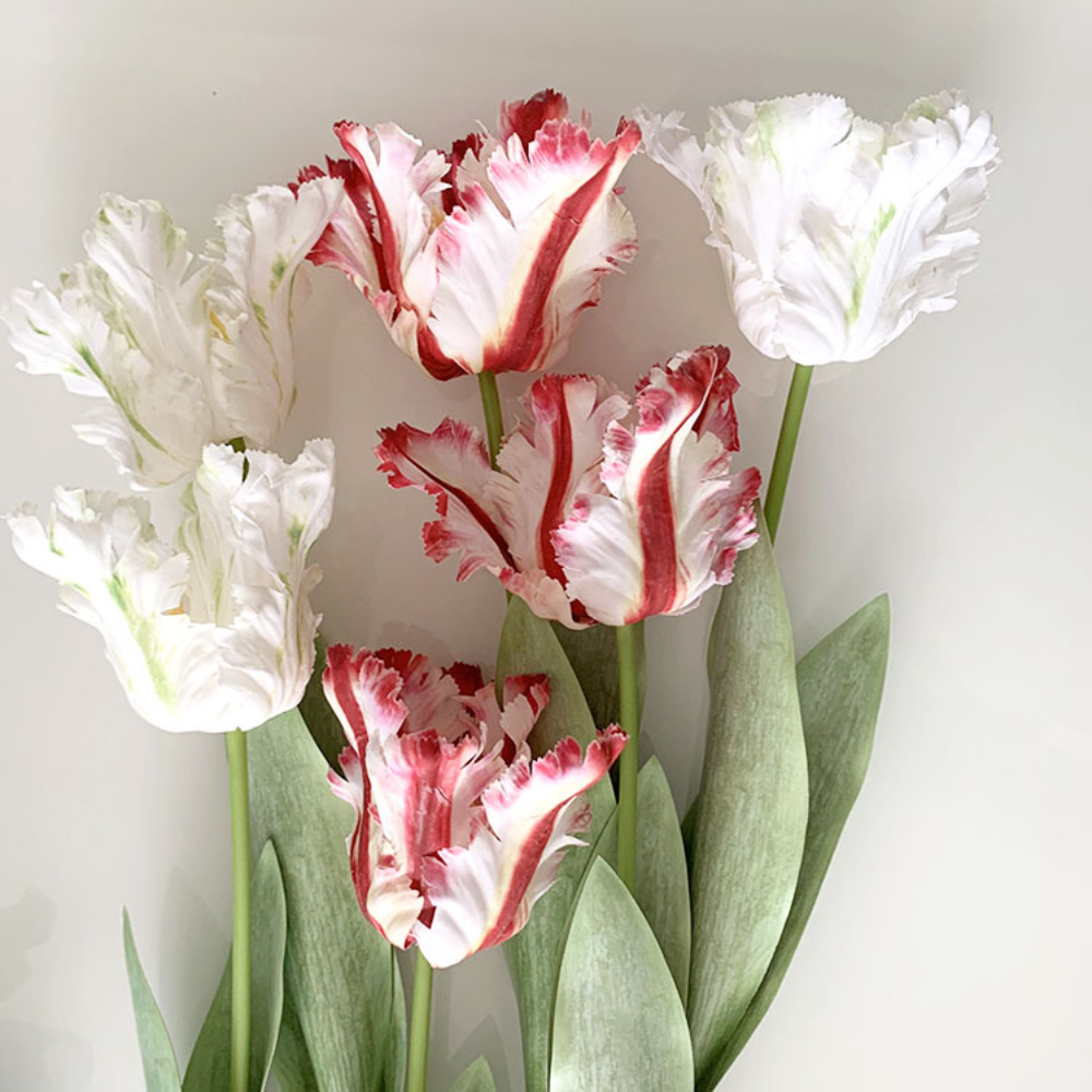 Luxury 3D Parrot Tulip branch  - Plant Parenthood incelemesi ve fiyatı