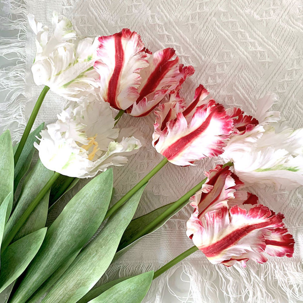 Luxury 3D Parrot Tulip branch  - Plant Parenthood incelemesi ve fiyatı