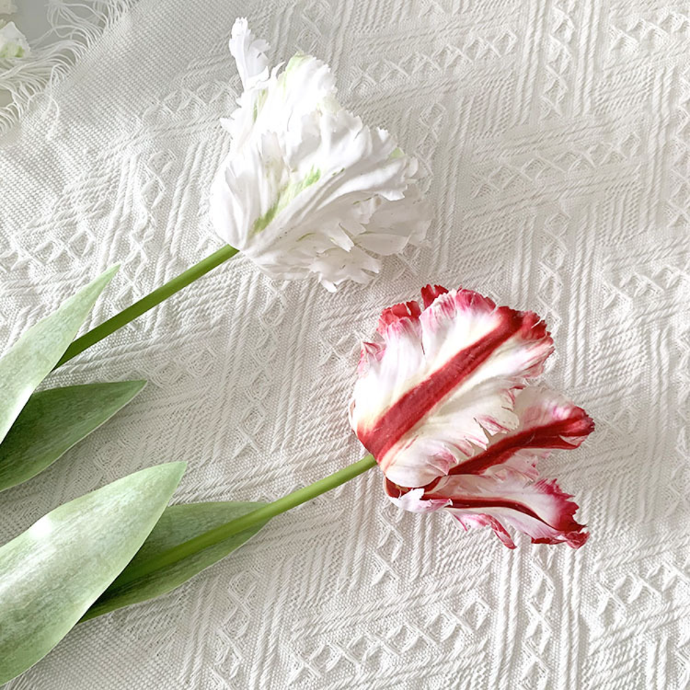 Luxury 3D Parrot Tulip branch  - Plant Parenthood incelemesi ve fiyatı