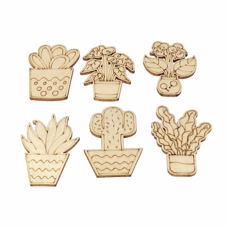 50PCS Mixed Styles Flower Cact - Cactus Mix Pot incelemesi ve fiyatı