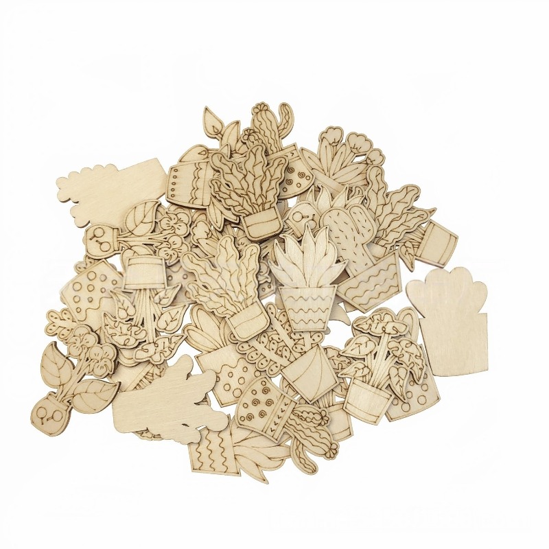 50PCS Mixed Styles Flower Cact - Cactus Mix Pot incelemesi ve fiyatı