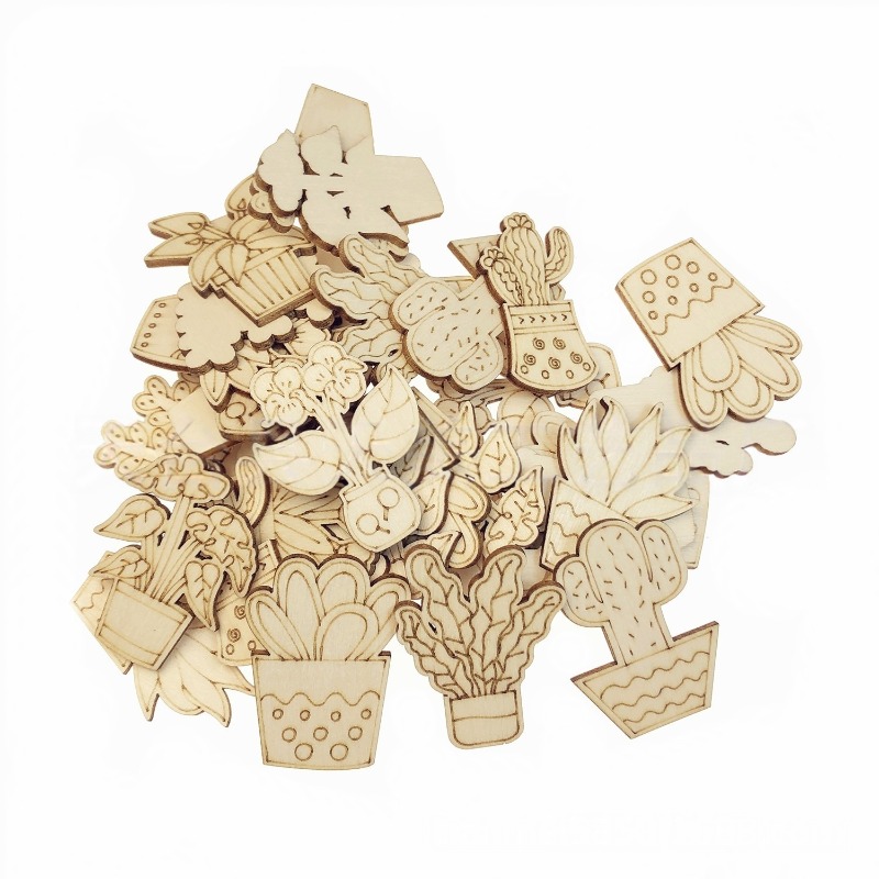 50PCS Mixed Styles Flower Cact - Cactus Mix Pot incelemesi ve fiyatı